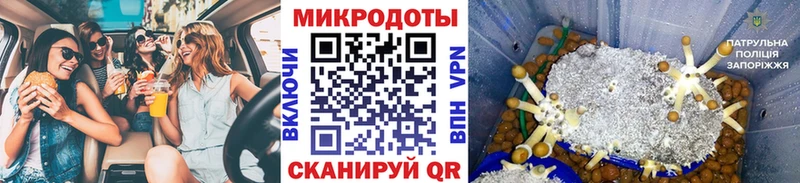 Псилоцибиновые грибы мухоморы ссылка на мегу как войти Заводоуковск